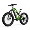 Hovsco HovScout Full Suspension Fat Tire eBike