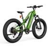 Hovsco HovScout Full Suspension Fat Tire eBike