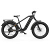 Hovsco HovAlpha Fat Tire Bike