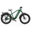 Hovsco HovAlpha Fat Tire Bike