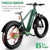 Hovsco HovAlpha Fat Tire Bike