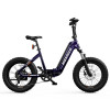 Hovsco HovBeta Foldable Fat Tire Bike