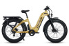 CYKE Lynx Commuter Ebike (FREE SHIPPING)