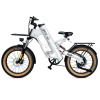Gear-Up Zero eBike - Apex