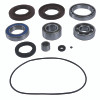 QuadBoss Diff Bearing Kit - 412796 Photo - Primary