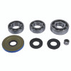 QuadBoss Diff Bearing Kit - 412797 Photo - Primary
