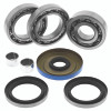 QuadBoss Diff Bearing & Seal Kit - 414462 Photo - Primary