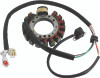 QuadBoss Stator - 463525 Photo - Primary