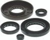 QuadBoss Gasket Set With Oil Seal - 564347 Photo - Primary