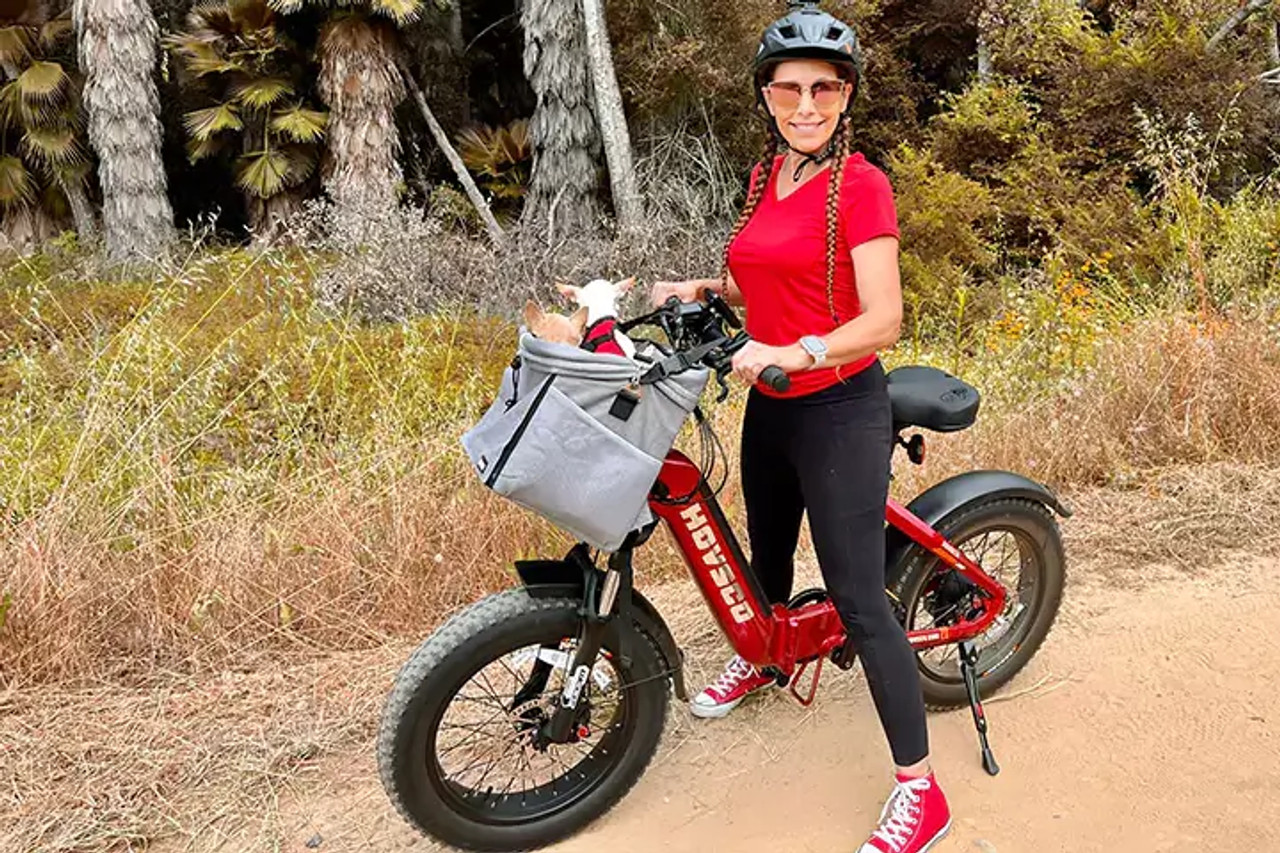 Hovsco HovBeta Foldable Fat Tire Bike