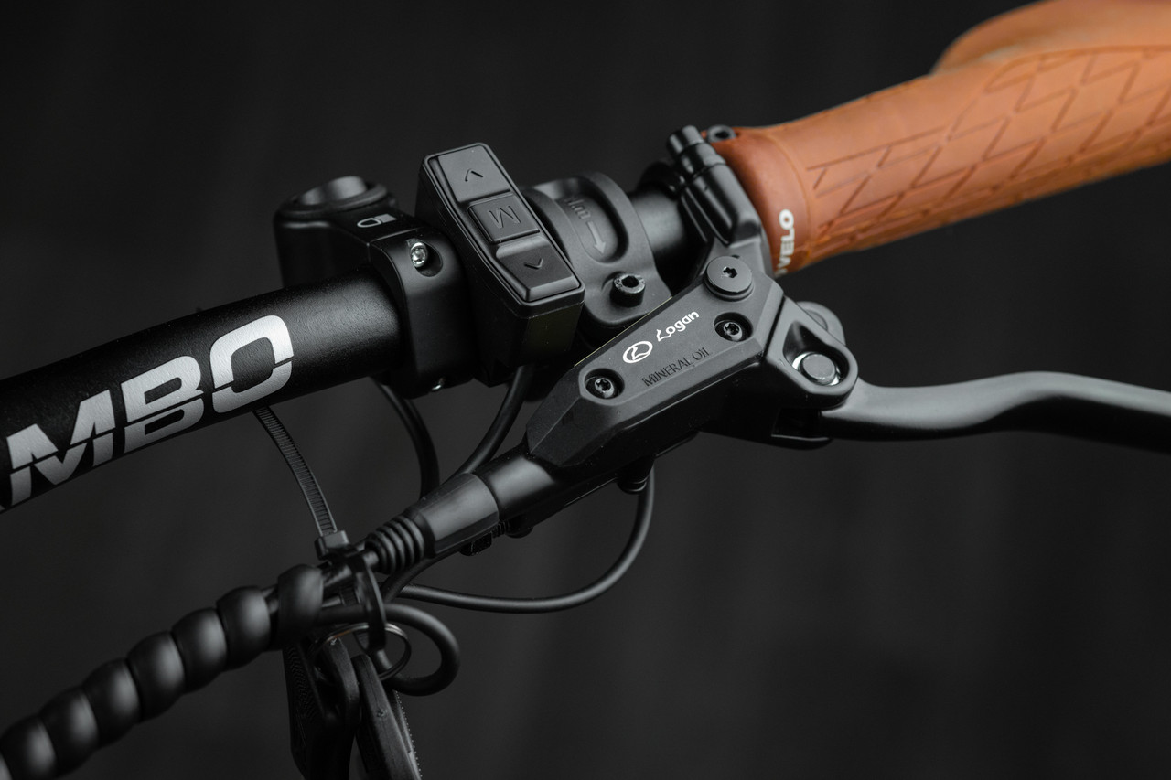Rambo's only AWD full-suspension hunting ebike. The Hellcat 2.0 FS combines dual-motor traction with a full-suspension frame that absorbs trail punishment without slowing you down. LED light bar standard. Available in 20Ah or 30Ah battery. Built for hunters who demand maximum capability across the most demanding terrain they ride.