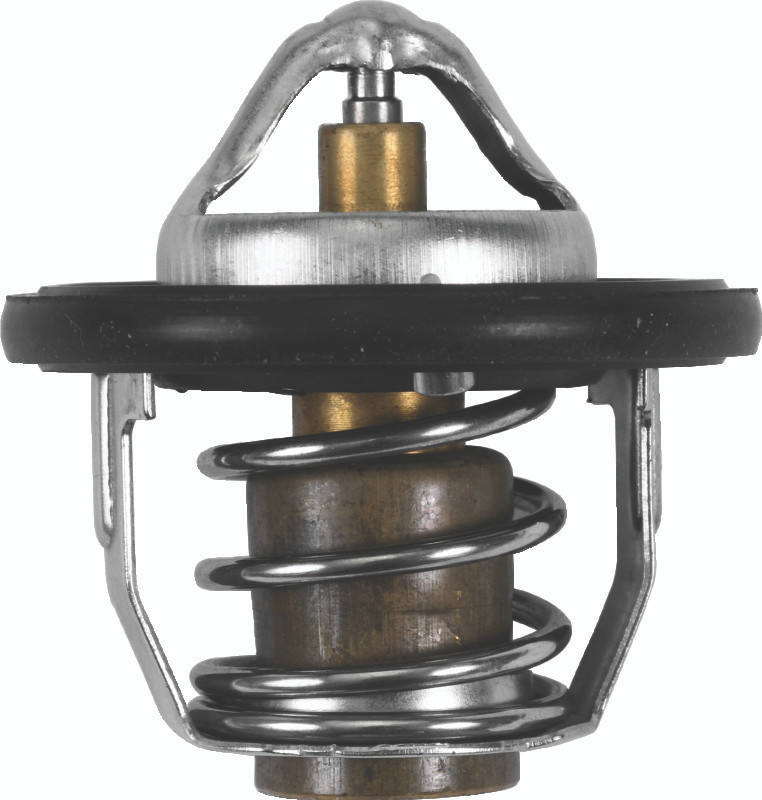 QuadBoss Thermostat - 401394 Photo - Primary