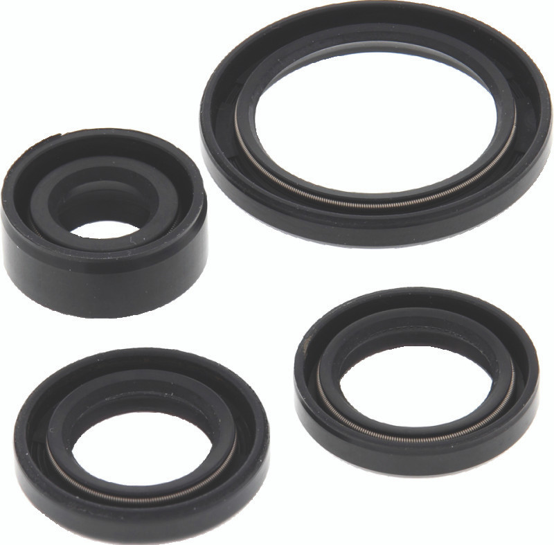 QuadBoss Oil Seal Set - 564399 Photo - Primary