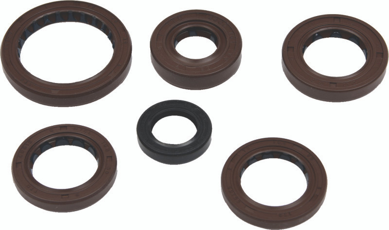 QuadBoss Oil Seal Set - 564595 Photo - Primary