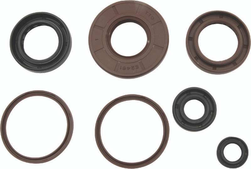 QuadBoss Oil Seal Set - 564643 User 1