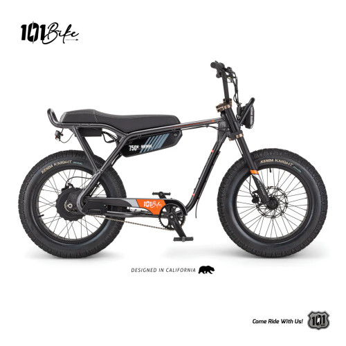 101 Matrix E-Bike (FREE SHIPPING)