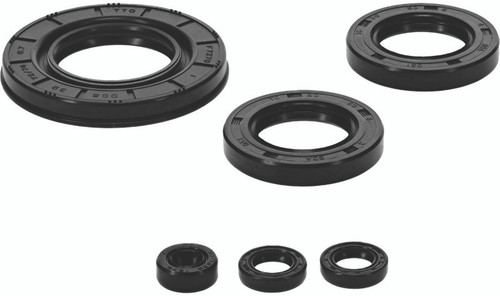 QuadBoss Oil Seal Set - 564788 Photo - Primary
