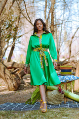 The Confident Shirt Dress