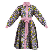 The Striking Shirt Dress