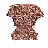 The Inspiring Blouse