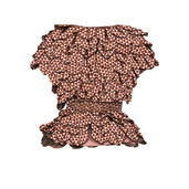 The Inspiring Blouse