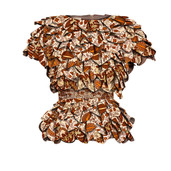 The Inspiring Blouse