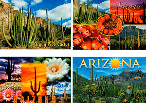 Four postcards with various landscapes.