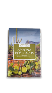 rectangular box with images of dessert cactus