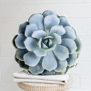 Round pillow with photograph of southwest succulent cactus