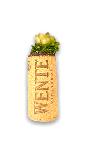 wine cork with mini succulent on top.