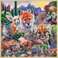colorful picture of wildlife found in Arizona