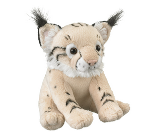 Bobcat Cub Plush