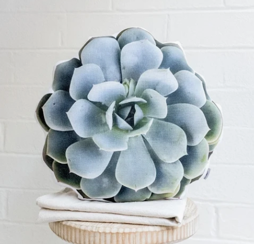 Round pillow with photograph of southwest succulent cactus