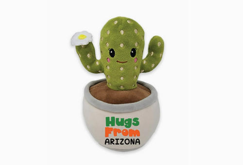 a plush saguaro with a white flower on one arm. The saguaro is in a white plus pot that reads " Hugs From Arizona"