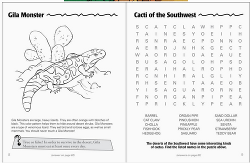 Open pages of book showing word search puzzle and coloring page