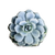 Round white pillow with picture of succulent 