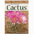 Rectangular box with image of flowering cactus 
