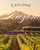 Arizona hills and vineyard at sunset with Arizona in white lettering