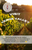 A wonderful tasting kit with three wines, tasting notes, flight mats and very yummy snacks.  A perfect gift for any wine lover wanting to explore Arizona's Wines.
