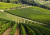 Vino Italiano