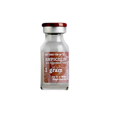Ampicillin Injection 1gm/15mL 10/Vial