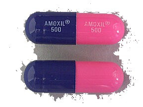Amoxicillin 500mg Capsule 100/Bottle
