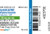 Hydralazine HCl 20mg/mL 1mL 25/SDV