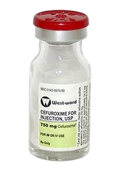 Cefuroxime 1.5gm/20mL 25/Vial