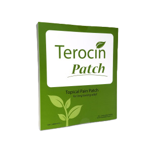 Terocin Topical Pain Patch 10/bx