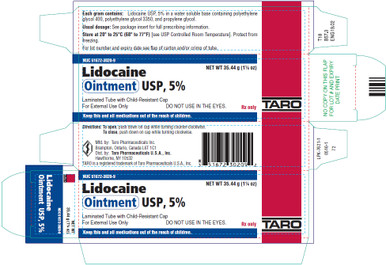 Lidocaine Ointment 5% 50gm 1/Jar