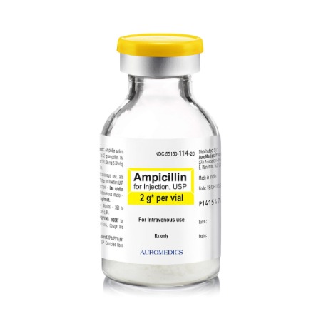 Ampicillin Sodium Injection Solution Reconstituted 2gm 10/Vial
