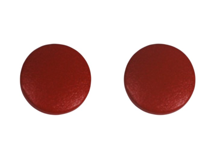 Ferrous Sulfate Tablet 325 mg 100/Bottle
