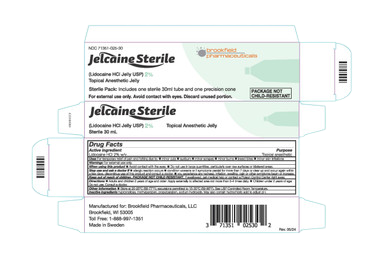Jelcaine Sterile 2% Jelly 30mL 1/Tube