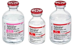 Xylocaine/Epi 1%-1:100000 50mL 1/MDV